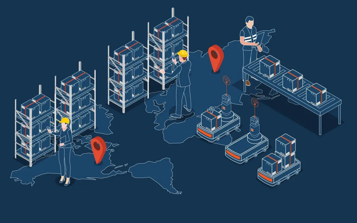 organizzazione della supply chain||